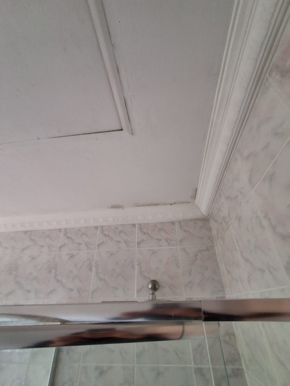 BP Handyman (103)